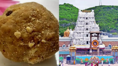 Tirupati Laddu Controversy: Did Changing Ghee Brand Lead To 'Animal Fat' Findings? — Details